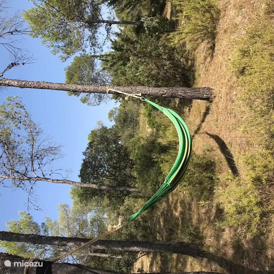 1 der 2 vorhandenen Hängematten.