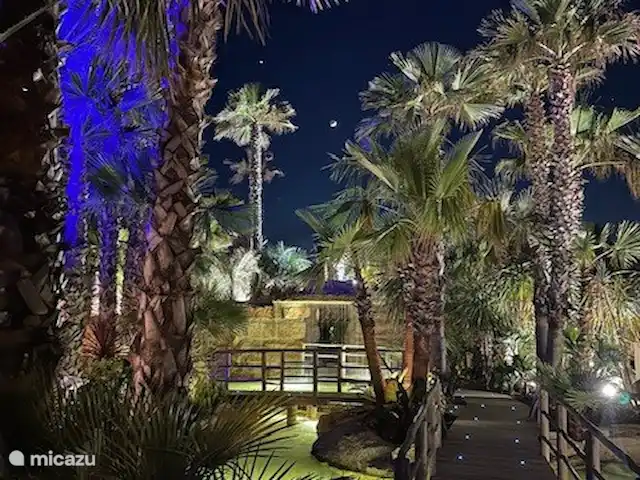 Mobil Home Kon Tiki St Tropez | France, Côte d'Azur, Saint-Tropez - mobil-home Kon Tiki la nuit