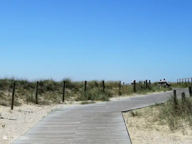 La maison de plage d'Emma | Pays-Bas, Hollande méridionale, Katwijk - appartement Entrée plage
