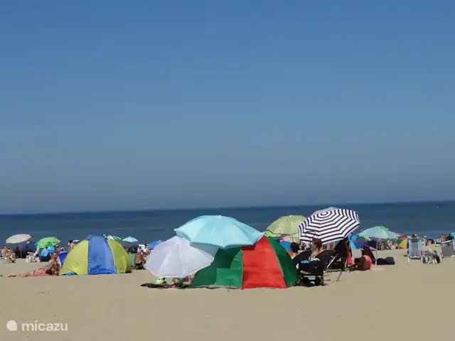 La maison de plage d'Emma | Pays-Bas, Hollande méridionale, Katwijk - appartement En face de la maison
