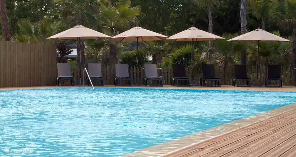 Piscina climatizada en Toison D'or donde se organizan muchas actividades para todas las edades. (aqua jogging, juegos para los jóvenes, hora de discoteca para los adolescentes, hora 'Zenn' solo para 16+, etc.)