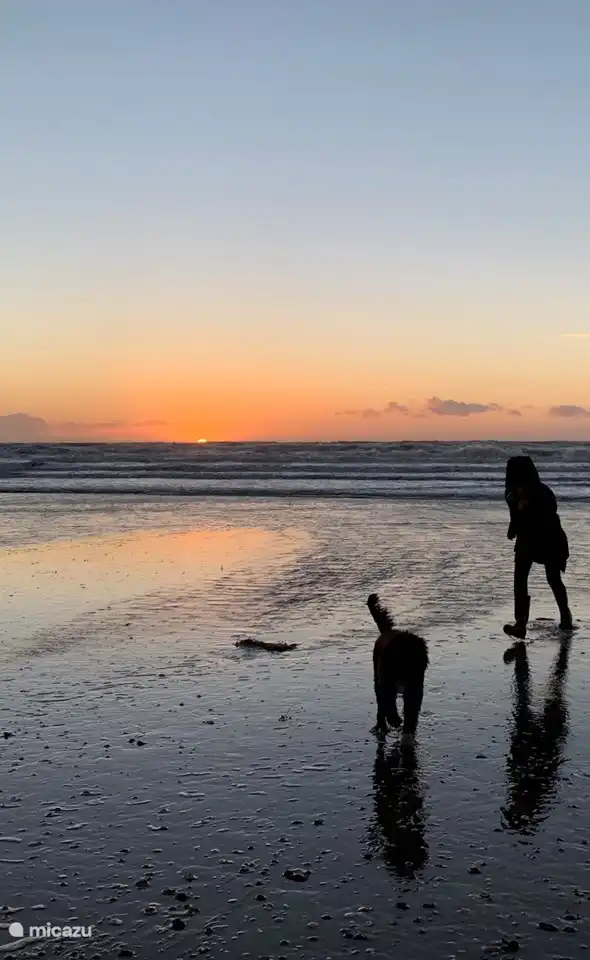 Herbstsonnenuntergang