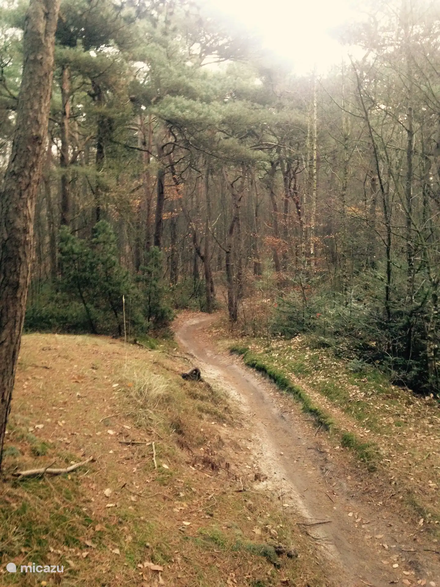 MTB-Strecke Schoorl.