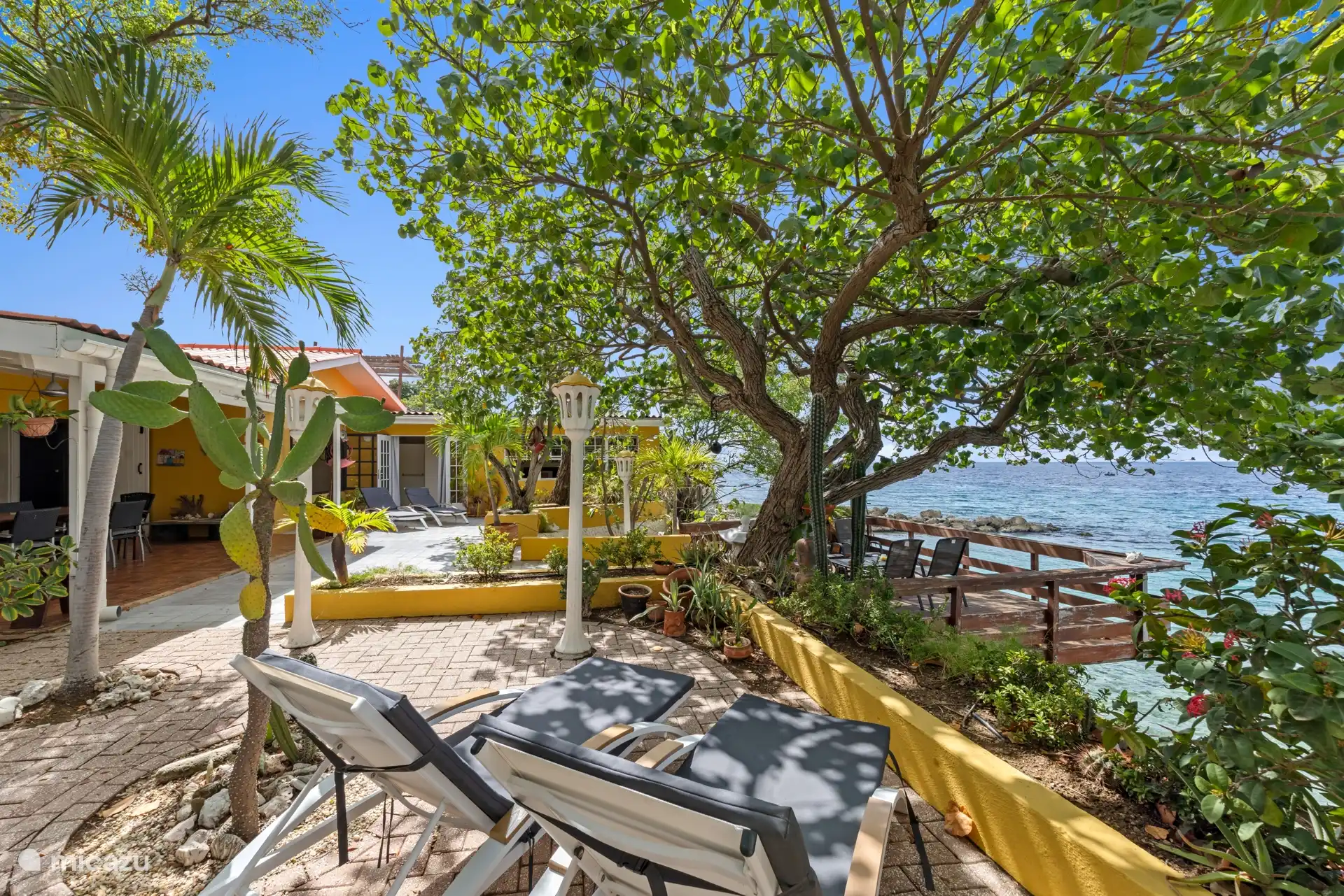 Großer tropischer Garten mit reifen Pflanzen und Bäumen.