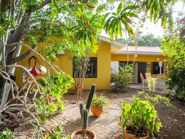 Villa Bord de mer | Curaçao, Curaçao-Centre, Sint Michiel - villa Jardin ombragé magnifiquement entretenu à l'avant de la villa.