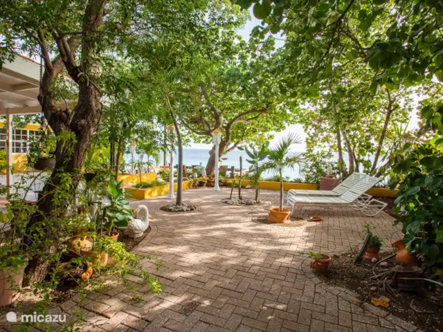 Villa Bord de mer | Curaçao, Curaçao-Centre, Sint Michiel - villa Jardin verdoyant ombragé côté mer de cette villa.