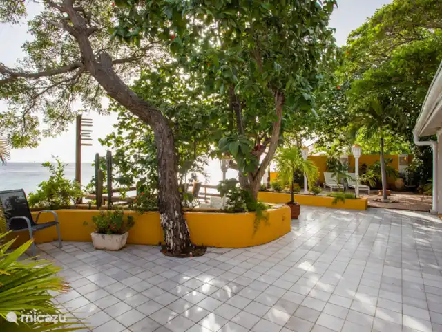 Villa Bord de mer | Curaçao, Curaçao-Centre, Sint Michiel - villa Jardin magnifiquement entretenu avec différents coins pour s'allonger et profiter de la vue.