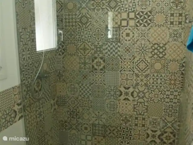 Los Dos Caballeros huren in Spanje, Murcia, San Pedro del Pinatar - villa badkamer met douche beneden
