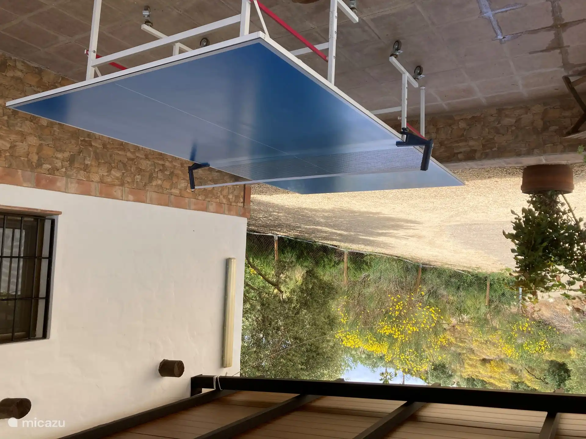 Tischtennis für Sportbegeisterte