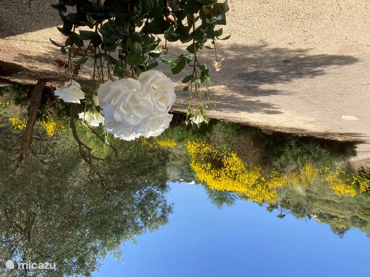 Parkplatz neben dem Haus