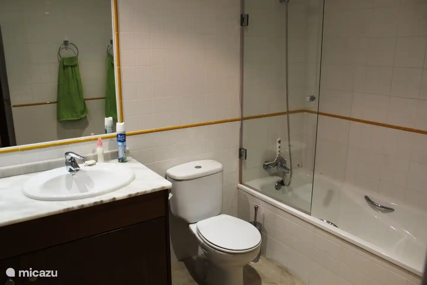 Bathroom with shower, bath, double sink and toilet adjacent to the master bedroom