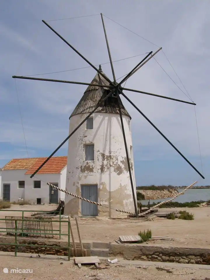Mill at the mud baths (Mar Menor)