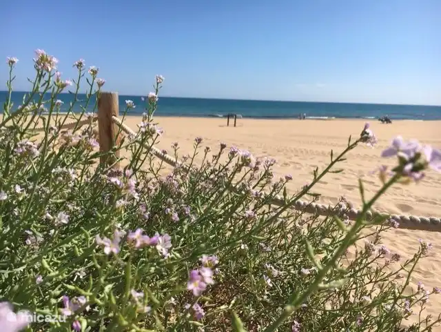 Long sandy beaches at Guadamar