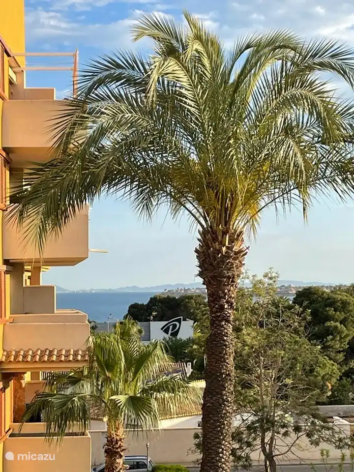 View from the balcony towards the sea