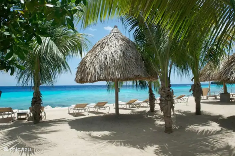 Ferienwohnung Curaçao, Banda Abou (West), Coral-Estate Rif St.marie Ferienhaus Sunny and beautiful sea view house