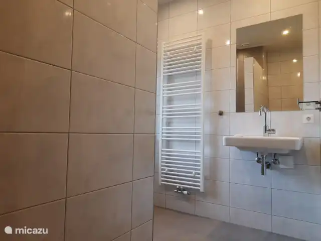 Erve Beertke huren in Nederland, Overijssel, De Lutte - vakantiehuis De tweede badkamer voor de grotere gezelschappen of lange verblijven.