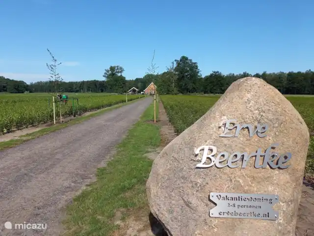 Erve Beertke huren in Nederland, Overijssel, De Lutte - vakantiehuis Erve Beertke vanaf de straat. Het oprit naar uw eigen privé rustgebied :-)