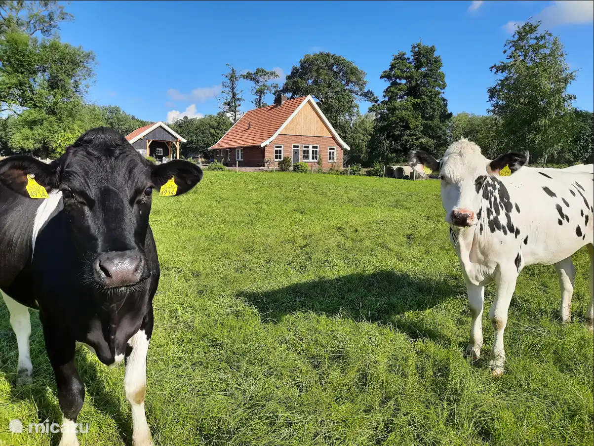 A menos que las damas disfruten de la hierba fresca.