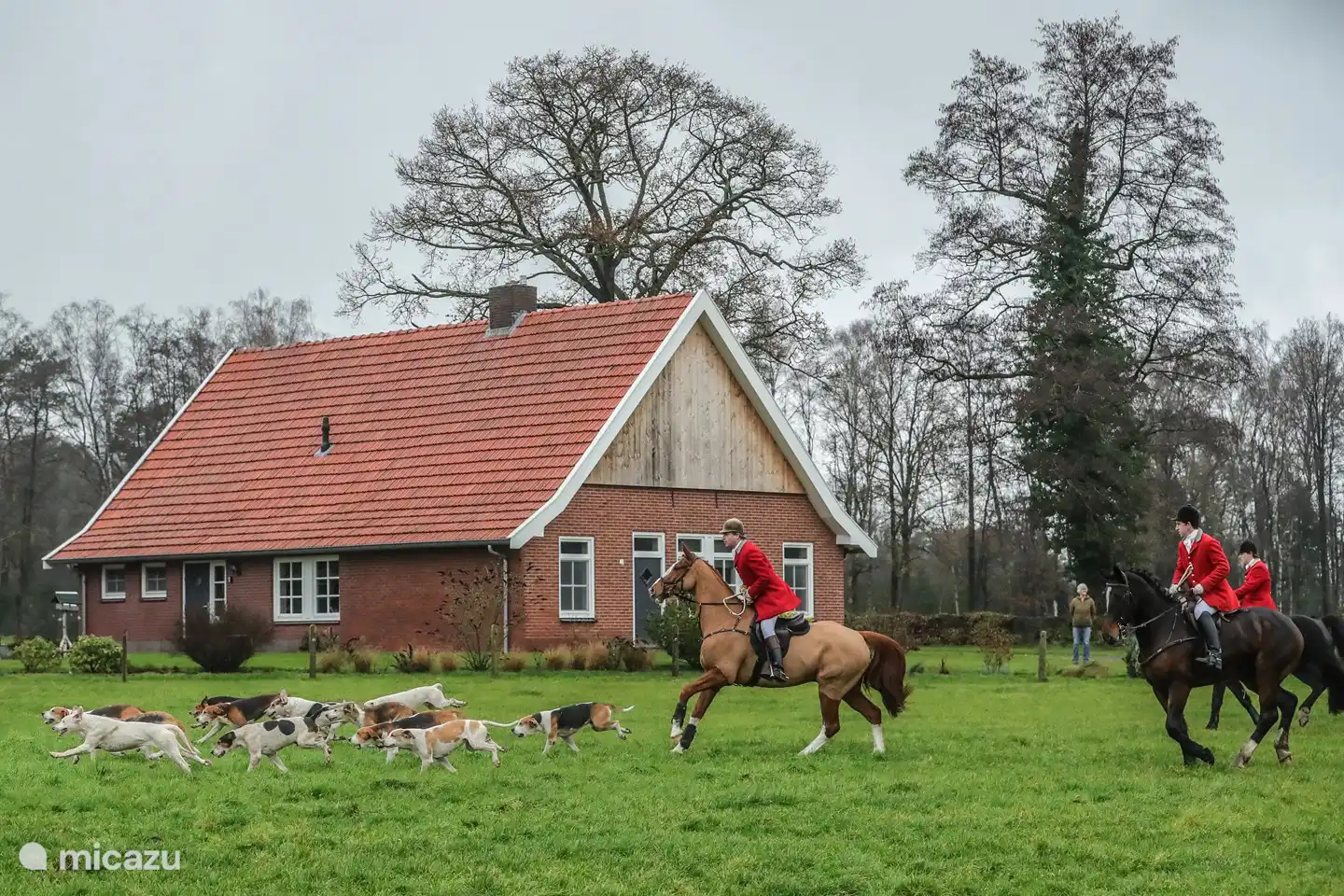 Esta es una foto de la caza anual de resbalones en diciembre.