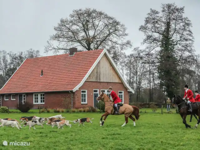 Erve Beertke huren in Nederland, Overijssel, De Lutte - vakantiehuis Dit is een foto van de jaarlijkse slipjacht in December