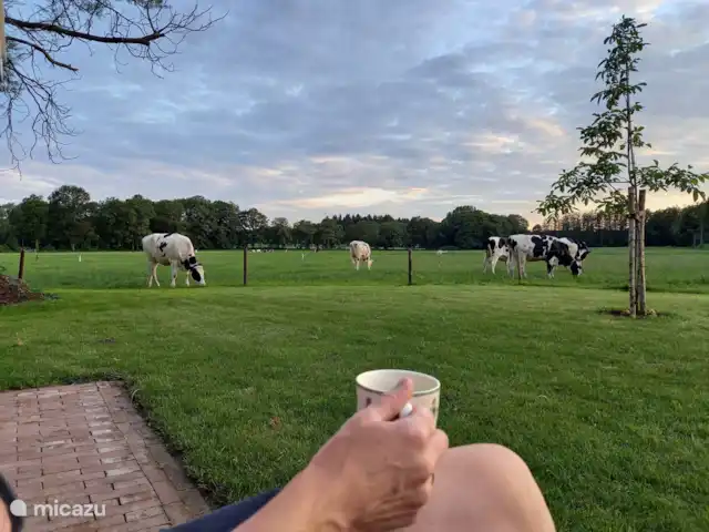 Erve Beertke huren in Nederland, Overijssel, De Lutte - vakantiehuis Aan de achterzijde genieten van de zonsondergang.