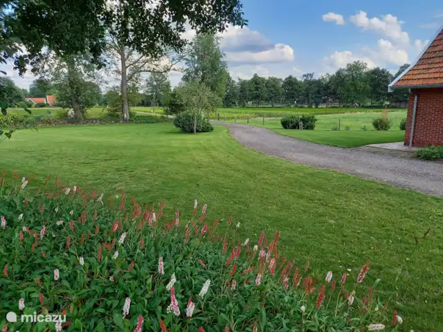 Erve Beertke huren in Nederland, Overijssel, De Lutte - vakantiehuis Aan de voorzijde ook lekker veel ruimte. Voor bijvoorbeeld een potje voetbal, badminton of jeu de boules.