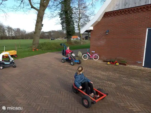 Erve Beertke huren in Nederland, Overijssel, De Lutte - vakantiehuis Speelplezier voor de jeugd