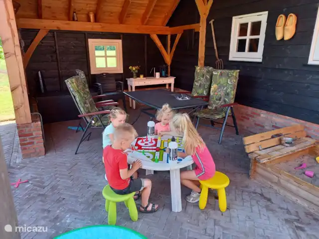 Erve Beertke huren in Nederland, Overijssel, De Lutte - vakantiehuis Ook de kleintjes vermaken zich