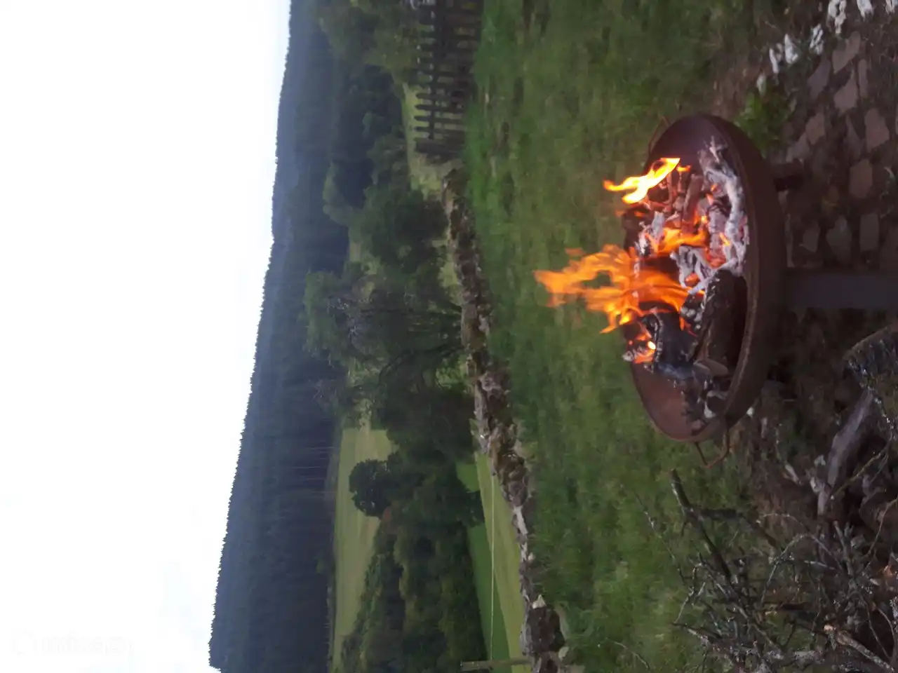 View from the garden