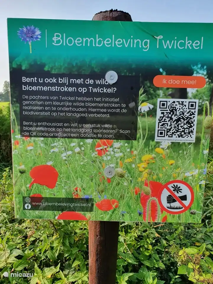 Twickel la belle forêt. Ici, vous pouvez marcher pendant des heures.