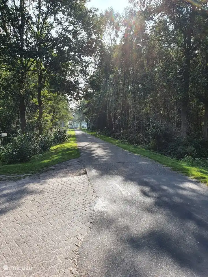 De nombreuses routes tranquilles