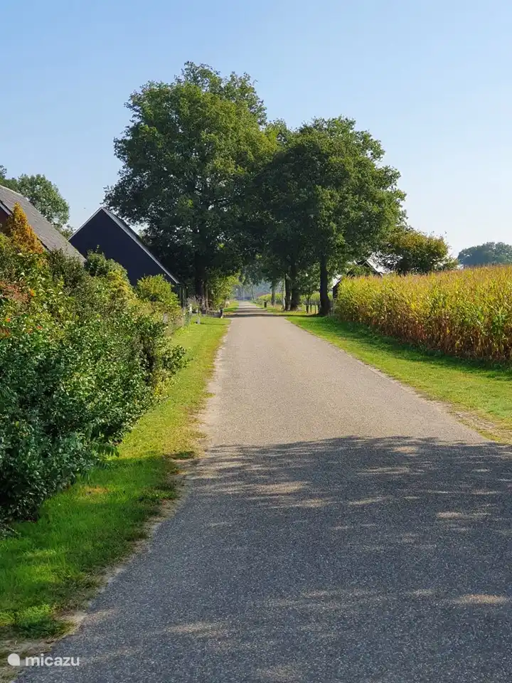 À proximité du parc. Calme et espace
