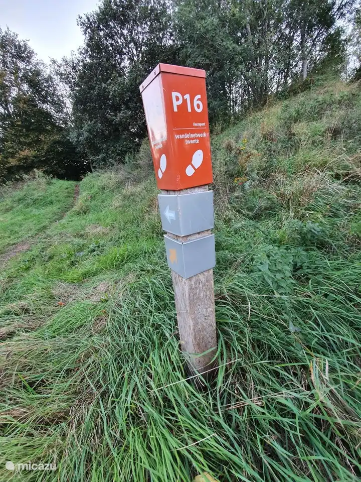 tu veux marcher? il y a beaucoup de sentiers pour marcher.