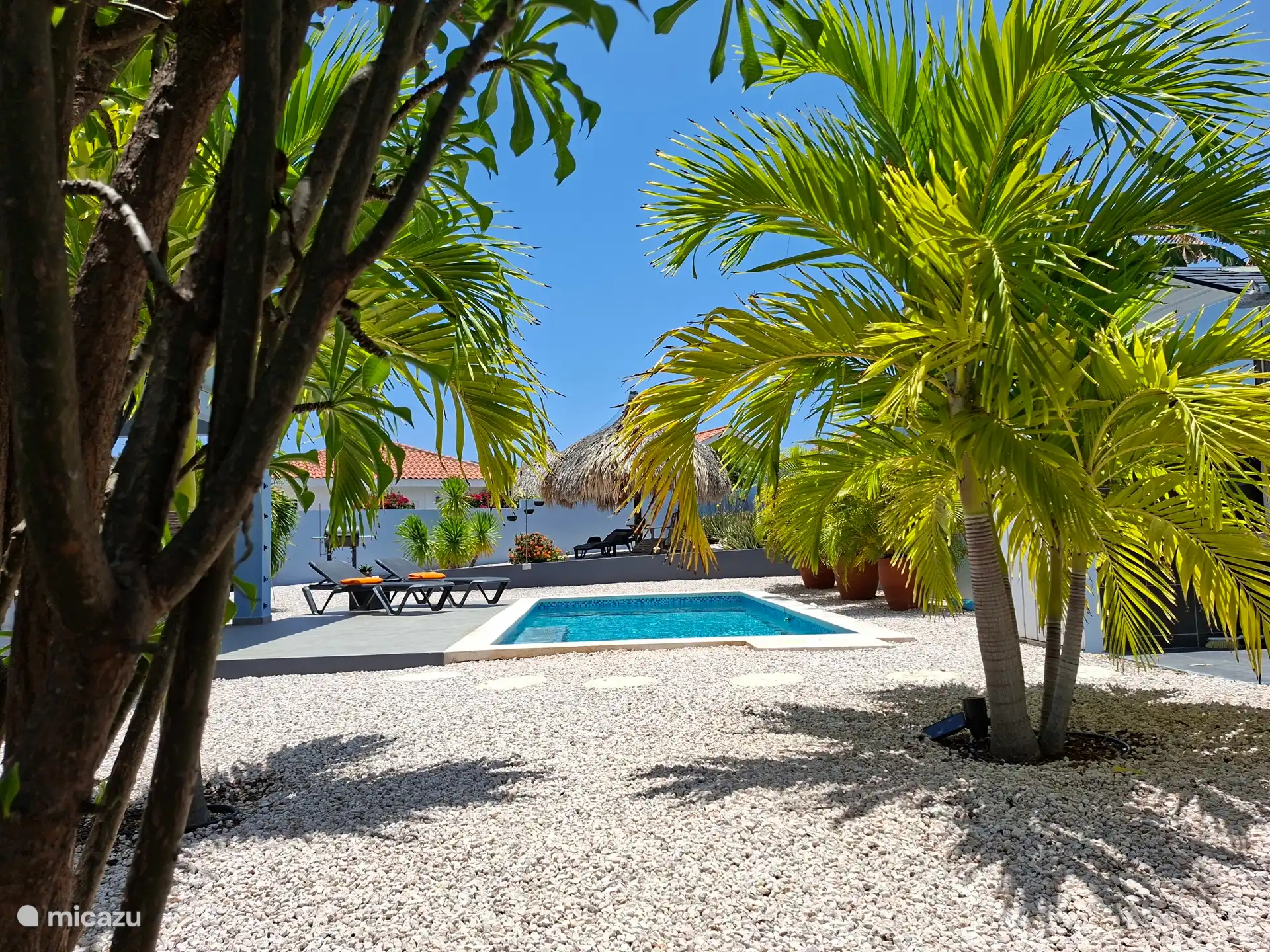 Large swimming pool 3.00 x 6.00 meters, for a delicious refreshment.