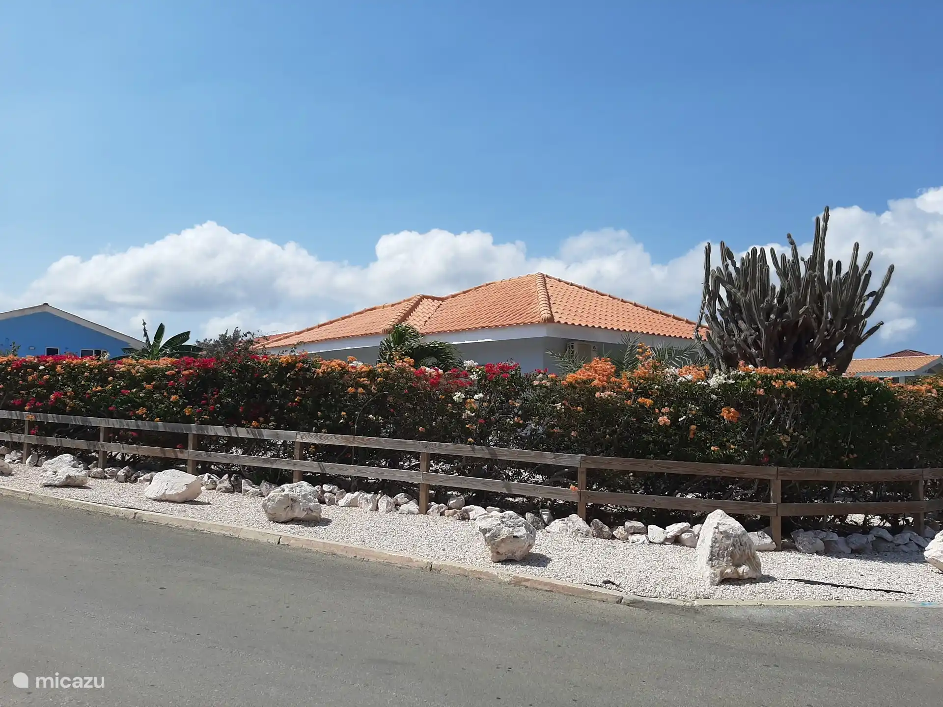 Belle haie de bouganville qui procure beaucoup d’intimité.