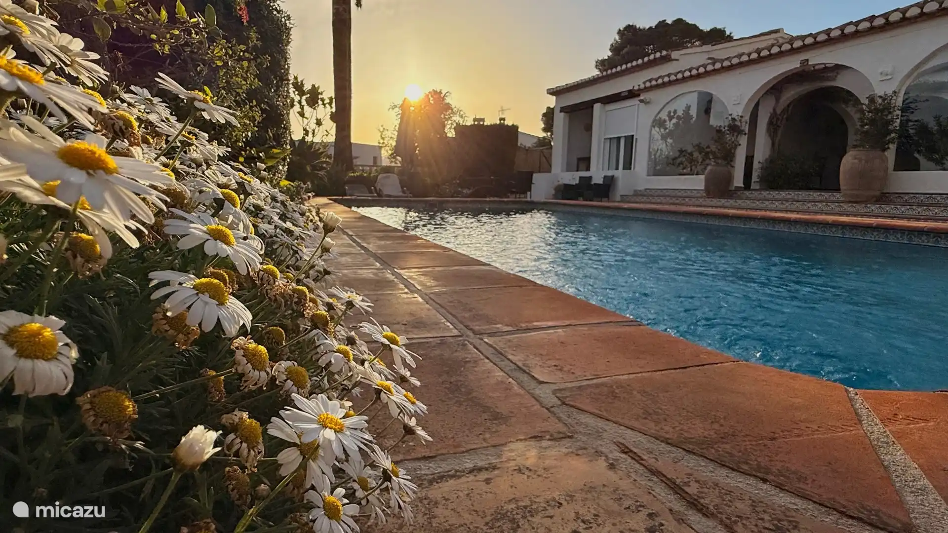 Villa Lotus Moraira Swimming Pool Flowers