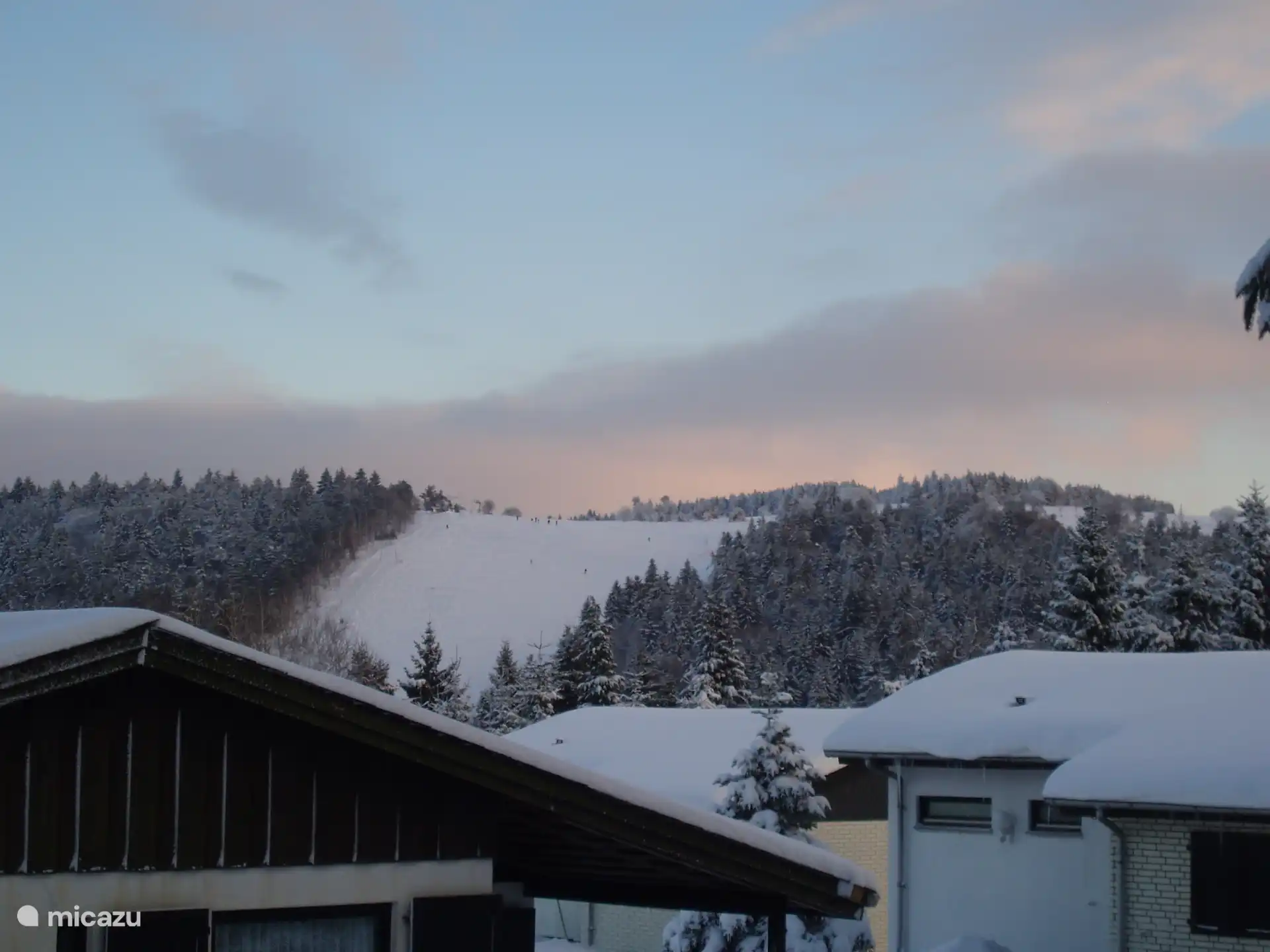 Vista 