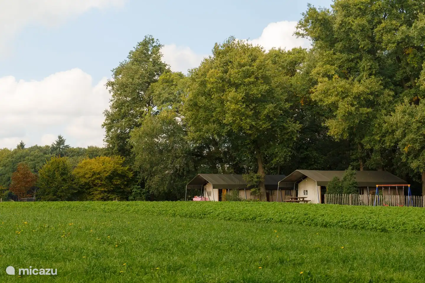 glamping / safarizelt / yurt in Overijssel, Niederlande – Landrijk de Reesprong - Safari Zelt 1
