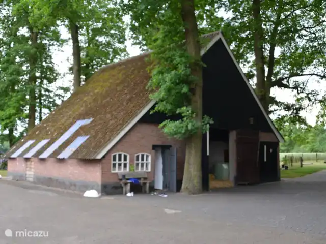 Landrijk de Reesprong - Tienda Safari 1 en Países Bajos, Overijssel, Haaksbergen - camping de lujo / yurta / tienda safari Finca Twente.