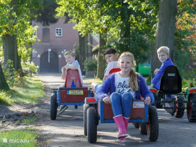 Landrijk de Reesprong - Tienda Safari 1 en Países Bajos, Overijssel, Haaksbergen - camping de lujo / yurta / tienda safari jugando en la granja