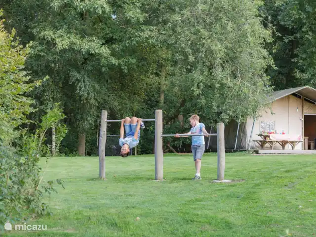Landrijk de Reesprong - Tienda Safari 1 en Países Bajos, Overijssel, Haaksbergen - camping de lujo / yurta / tienda safari Vete a jugar.