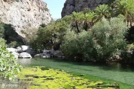 Plage et palmeraie de Preveli