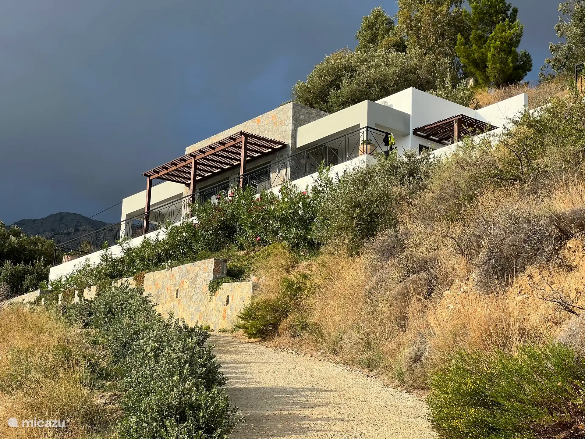 Oleanderpflanzen vor der Villa.