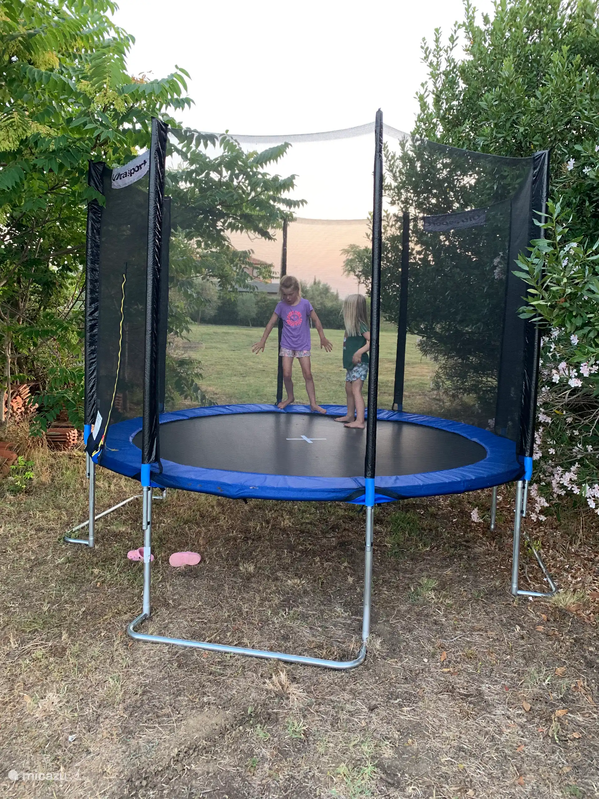 Das Trampolin