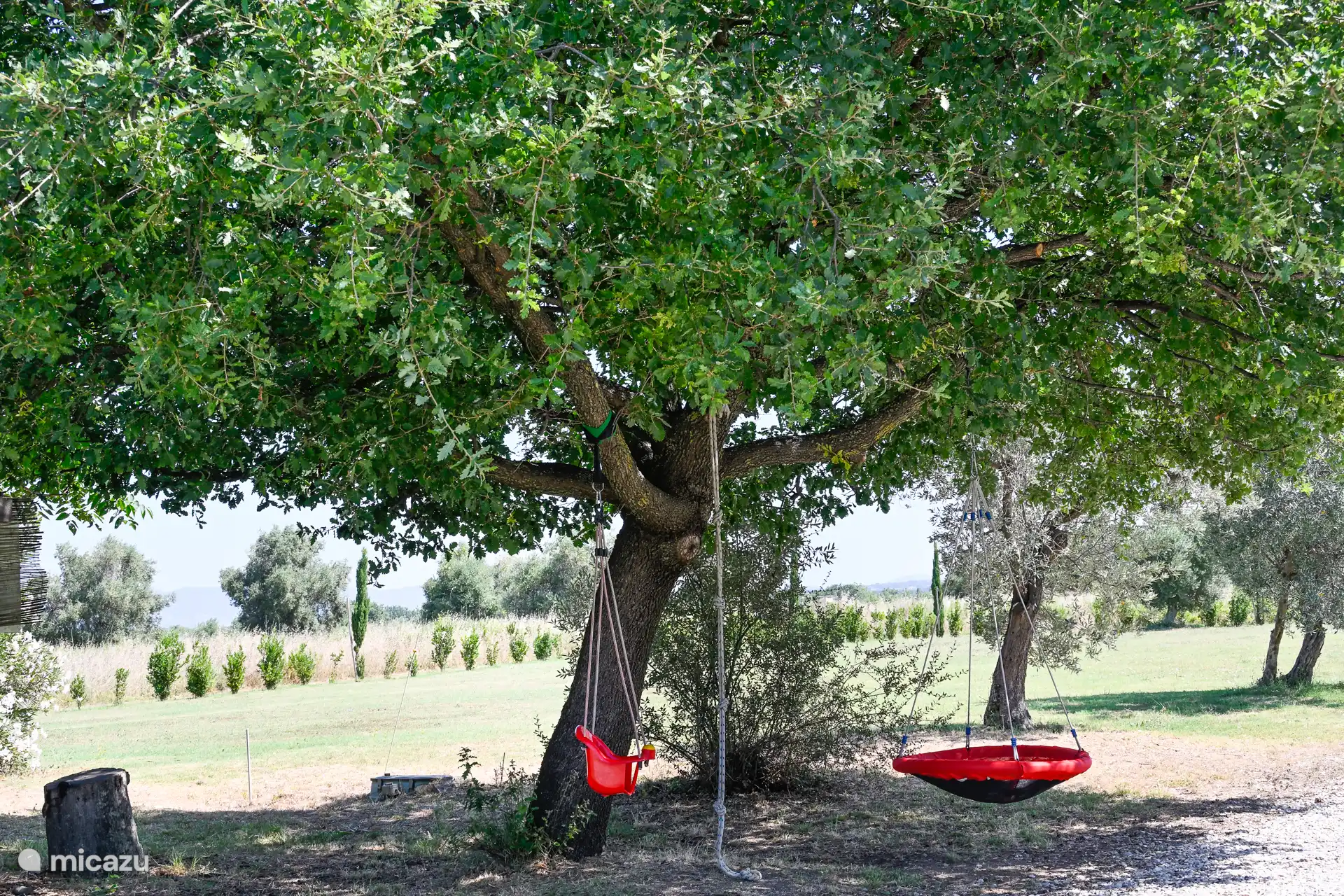 Eine Baby- und Kleinkindschaukel