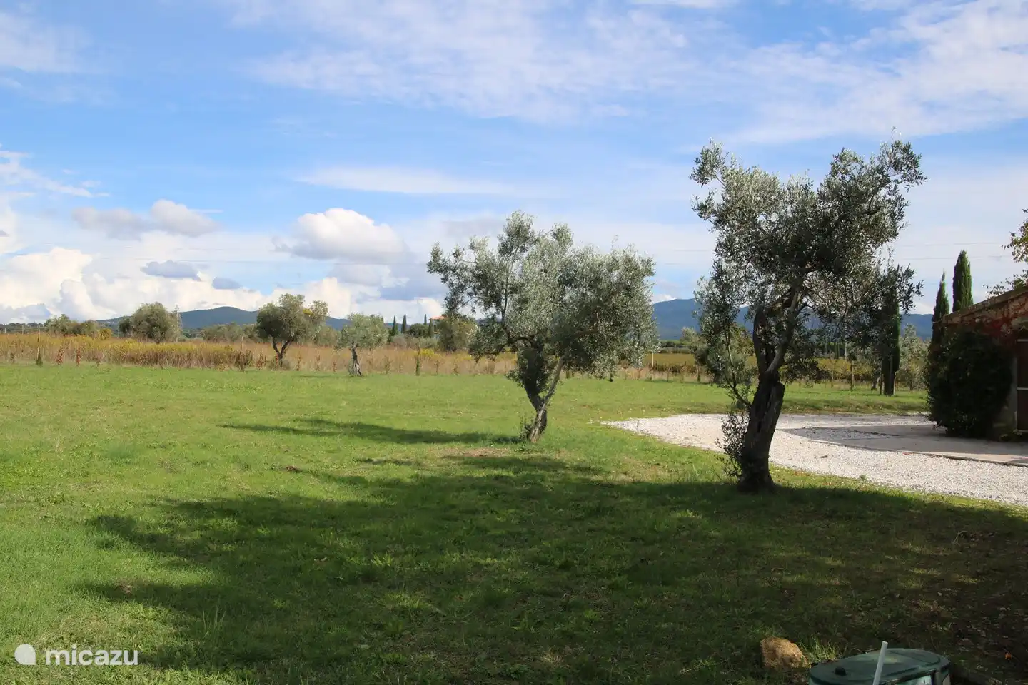 Uitzicht op de heuvels vanuit de tuin