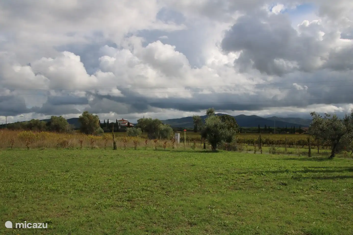 Uitzicht op de heuvels vanuit de tuin