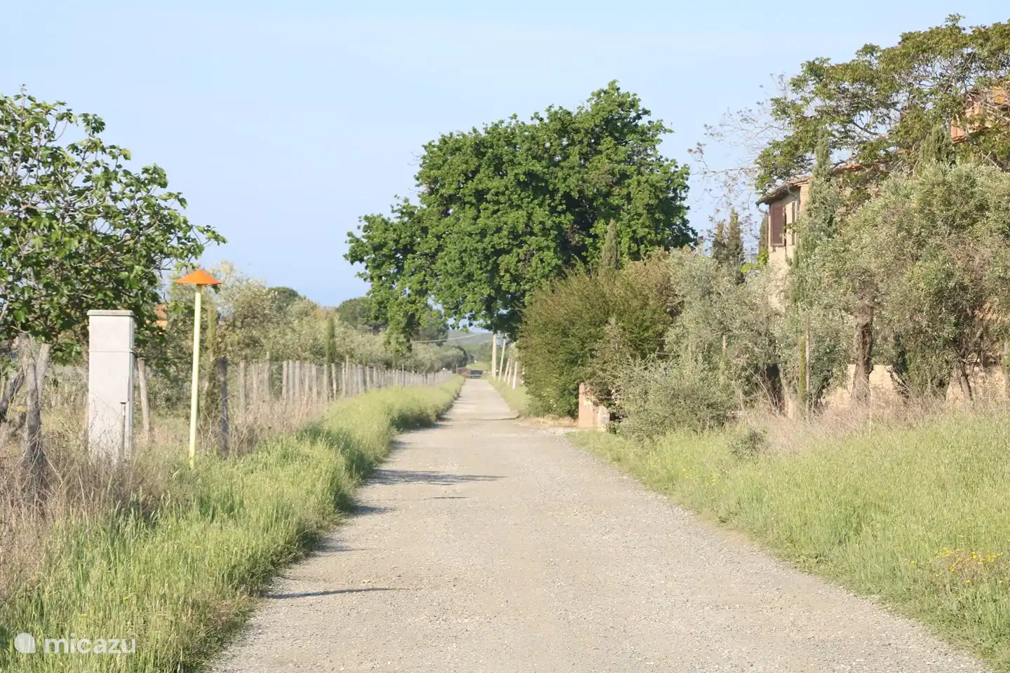 De privéstraat naar het huis. 