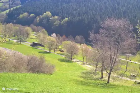Ferienwohnung Deutschland, Sauerland, Schmallenberg appartement Hervorragende Wohnung 2-5 Pers