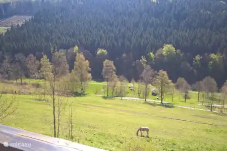 Ferienwohnung Deutschland, Sauerland, Schmallenberg appartement Hervorragende Wohnung 2-5 Pers
